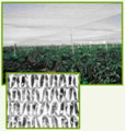 Aluminet Thermo Reflective Screen