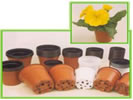 Dongjin 4" Pots