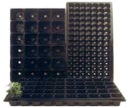 Dongjin Propagation Trays