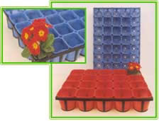 Dongjin Breakaway Pots