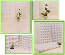 Dongjin Light Weight MultiPots